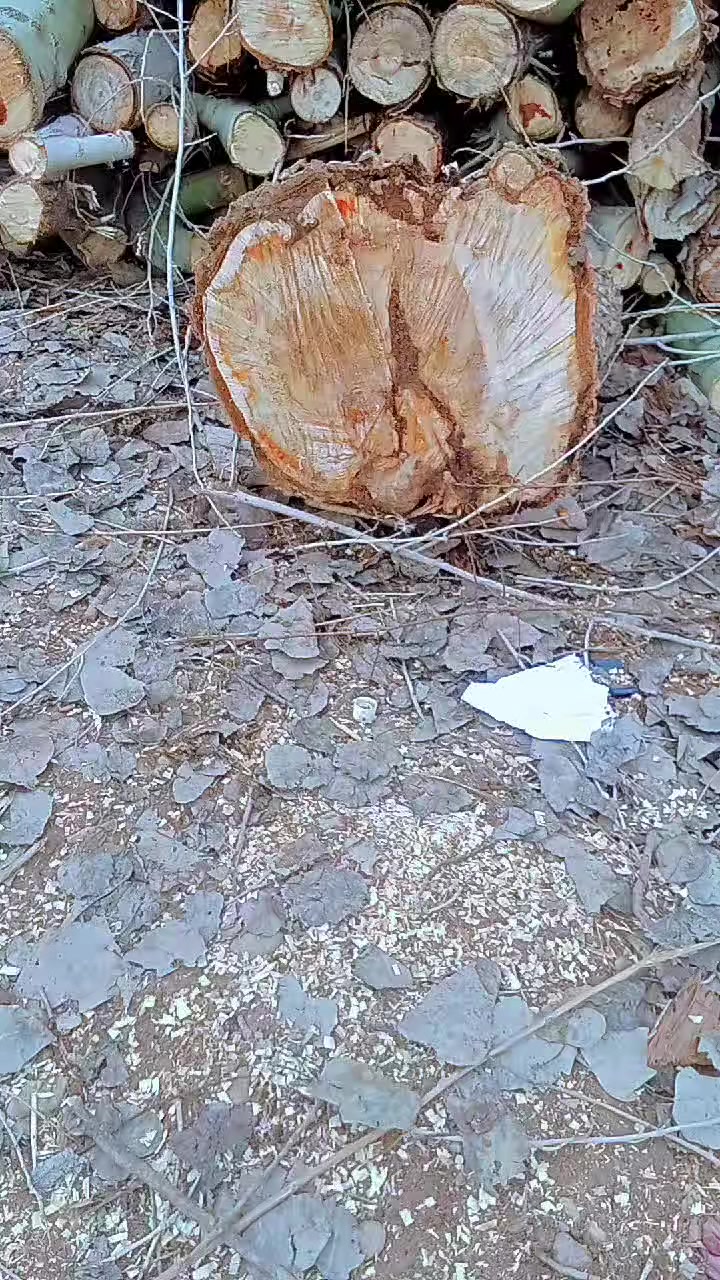 خوان كرامي مال سبندار لبيع تفعلي سعر وبيعك لستفسار على هاذا لرقم ***********
