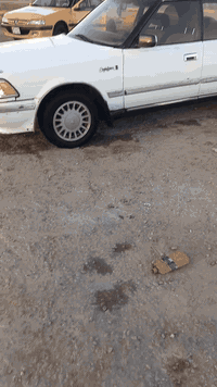 سلام عليكم  سياره هارتوب 91 مشروع وطني السنويه الثمانيه وعشرين المكينه شرط والكير الكدام شرط والوره بك ضعيف كلجات أو فلتر كهربائيات شغاله حداديه حلوه مداور ثاني يوم السعر 26 وبيها مجال لشراي[[[***********]]]]
