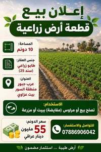 ١٠ دونم • طابو زراعي • عرب جبور