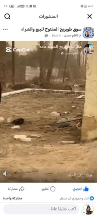 طوريج الرشيدة • ٢٠٠م • سند ٢٥