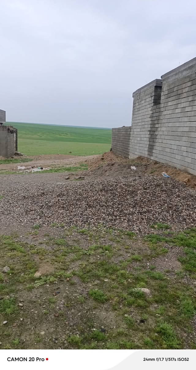 أرض للبيع في القوسيات قرب ركن النخلة
المساحه 150 متر سند جديد زراعة 
وصل البلدية جديد باسم المشتري 
سعر الارض 15 مليون بي مجال 
الخدمات ماء وكهرباء يم الأرض
مسموح بها البناء 
مروس هم بي سيارة يكون حديث 
كيا حمل و سيارة حديث قمارة 
رقم  ‏‪***********
