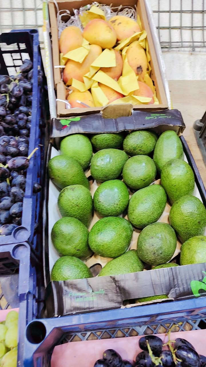 بسم اله وعلى بركه الله مسواك جديد
طماطه صغار هيتاويه ام الطعم
باذنجان مكدوس سوري
العنوان هيت حي جمعيه قرب محطة قلعة هيت المشيده


**إذا كنت صاحب هذا الإعلان وتريد حذفه لأي سبب، رجاءا أرسل رسالة إلى الدعم الفني**