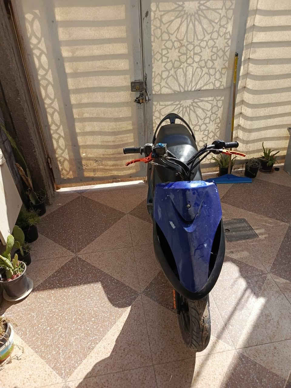 سلام عليكم شباب ماكس عدله للبيع بوشه 55 جانت بلادي وسويته 55 دراجه نضيفه شوفت عينك ول يريدهه بي خير ويدلل سعر خاصصصص👋🏿🫨. مكانيي بابل الاسكندريه ✅


**إذا كنت صاحب هذا الإعلان وتريد حذفه لأي سبب، رجاءا أرسل رسالة إلى الدعم الفني**