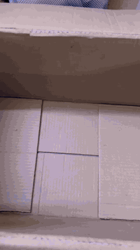 شلعه ب15الف مع توصيل 07815551813