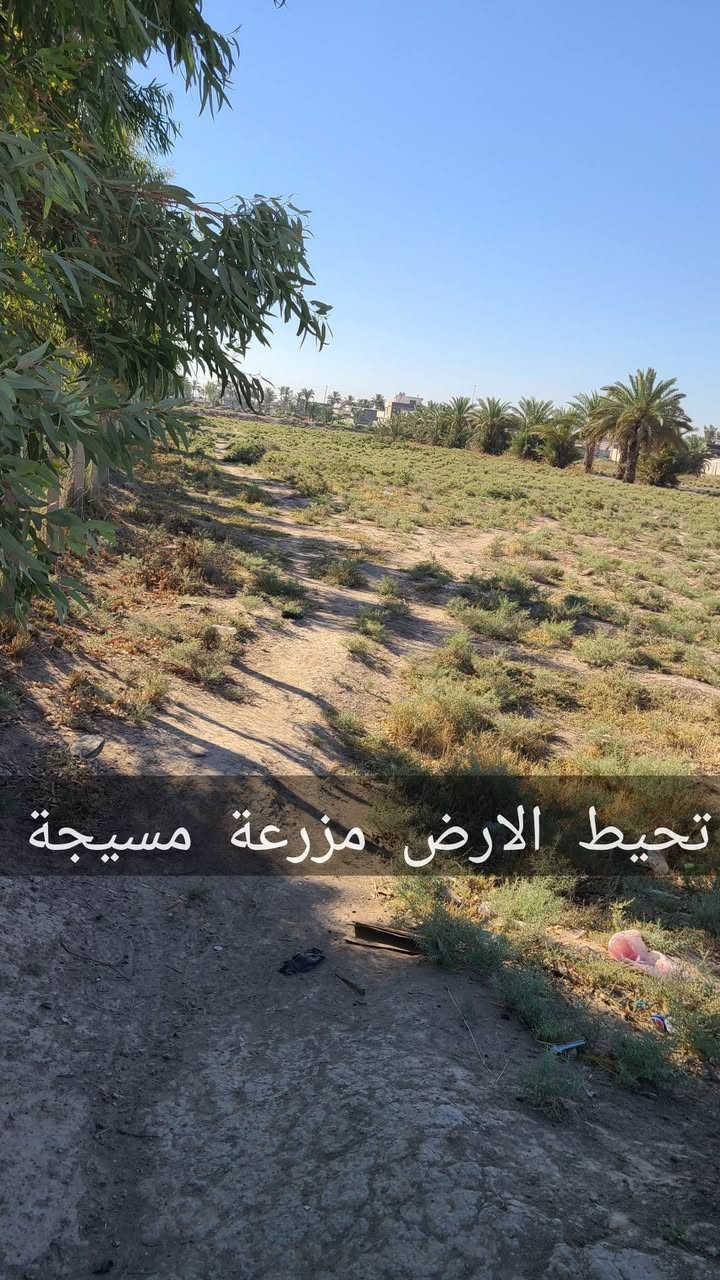 أرض للبيع دونم آله ربع الشيحة الثانية بالقرب من سريع ابوغريب بغداد
الأرض عقد زراعي غير طابو 
الأرض مكفولة تمامآ من صاحب الأرض والعقد وحالك حال الي اشتروا 
واجهة الأرض 31 متراً
الأرض عليها شارعين رئيسين كما موضح في الصور
الارض قريبة من الجسر العام والسريع كما موضح في الصور
الأرض لليوجد عليها اي مشاكل وتكاتب رسمياً
يوجد على الأرض خط كهرباء وماء
الأرض ملاصقة لمزرعة عائلية كما موضح في الصور
الأرض قابلة لمزرعة عائلية 
الأرض قابلة للسكن 
الأرض قابلة لجملونات او مخازن
الأرض غير قابل للشايليهات والتأجير 

الأرض امنة جداً جداً وقربها منطقة سكنية هادئة

سعر الأرض 55 مليون فقط ومقفولة

الموقع 📍/ ابوغريب بغداد خط السريع الشيحة الثانية قرب معمل حليب بلادي

للاستفسار واتساب فقط ( *********** )

.
