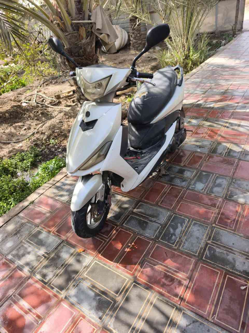 دراجة اف اس للبيع
مكينة ياباني ما مفتوح نضيف غراضه كامله ا
شراي اتصل ***********
