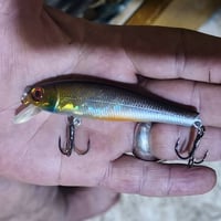 طعم • ٥٠ قطعة • البصرة