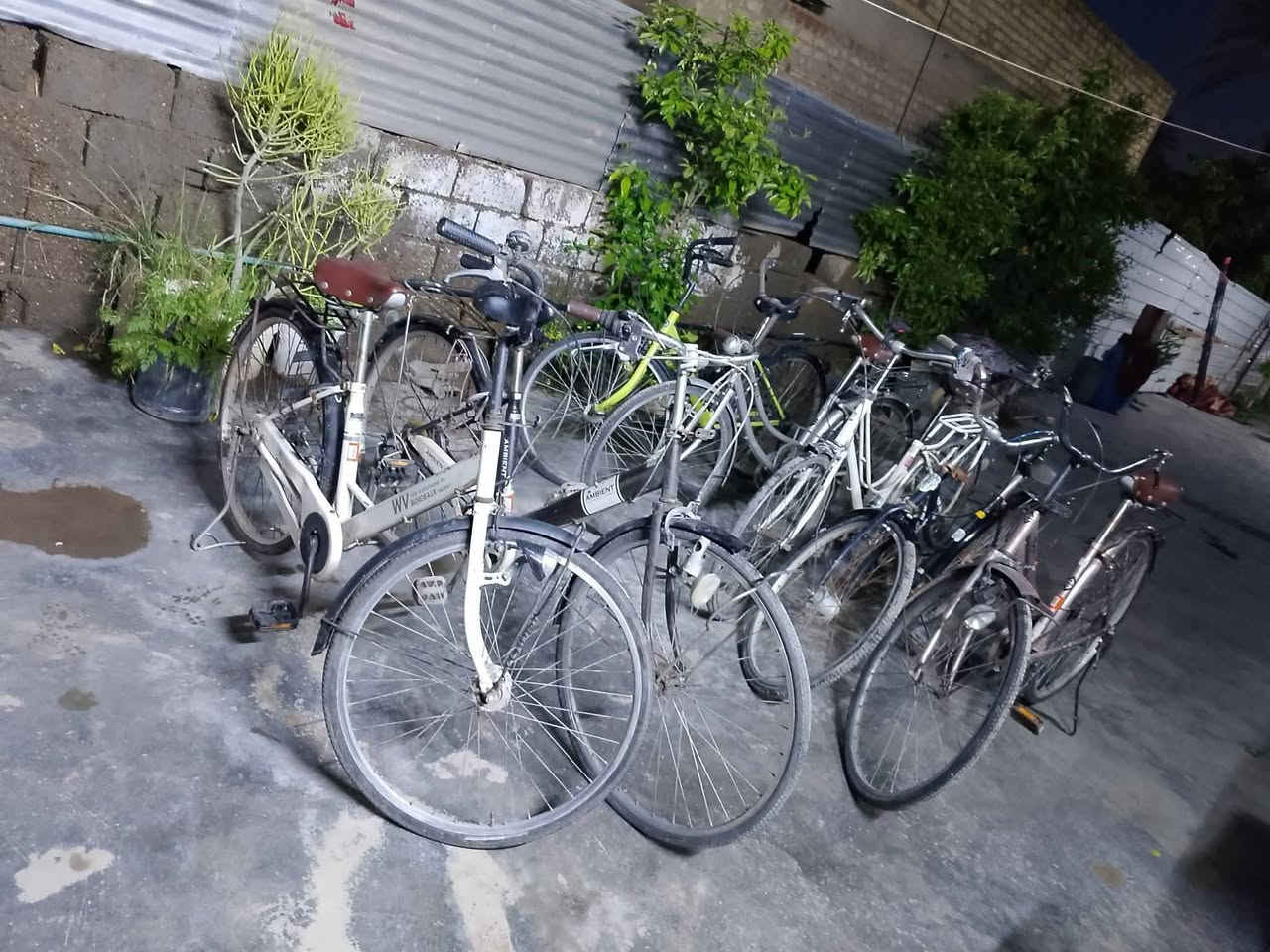 (مكلفه بالنشر)     سلام عليكم يوجد باسكلات باله حجم 26 وحجم 27.    نوعيه ممتازه المكان منطقه الشيخ حمد   السوق نزله الدكتور سليمان     اسم صاحب المحل مصطفى الشمري ***********   سعر الباسكل 85 الف فقط الكميه محدوه والي من طرفي (  ورده الشتاء ) اله خصم من السعر @إشارة
