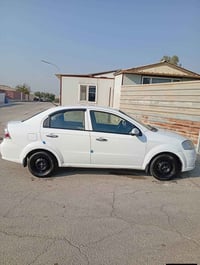 افيو • ٢٠١١ • رقم اربيل