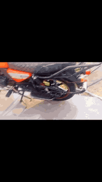 سلام عليكم دايوان لبيع 2021 اوراق كوت اصولي السعر 1650وبيهه مجال واسط العزيزيه ***********
