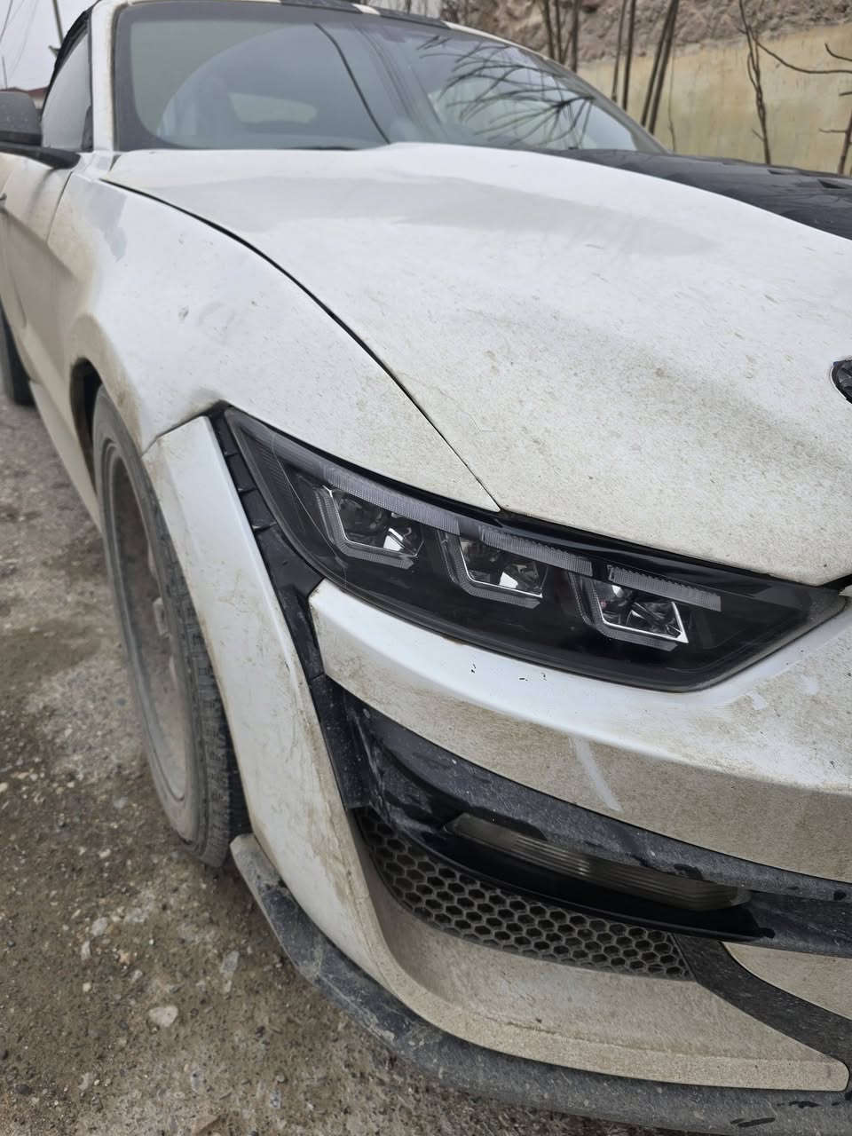 السلام عليكم
مكاني باربيل وممكن بالموصل 
موستنك موديل ٢٠١٥
٦ سلندر
ماشية ٨١ الف
صبغ حزام
داخله للعراق كلين وهنا صار بيه حادث بالجاملغ الخلفي
كشف شغال ممتاز
تبريد ثلج
تايرات تخم كامل جديد
هزة ٢٠٢٧
السيارة بأسمي
 شاشة جبيرة أصلية
مازدات شكل ٢٤ جديدة
بيها ملاحظات بسيطة يرادلها ترتيبات 
رايده ١١٧$ وبيها مجال ان شاء الله تعالى 
***********
***********
