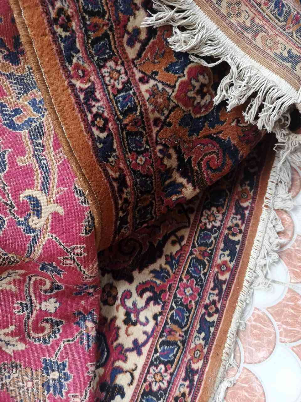 كلهن زوالي ب١٠٠ عدد٥لو٦ ماعرف 
اليوم ياخذهن الي يريدهن***********
