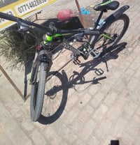 مونجوس • جديد • ٢٦