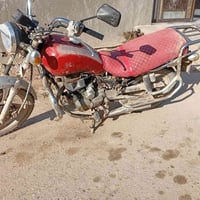 جني • ١٢٥ • بدون اوراق