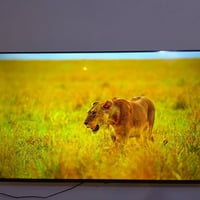 هايسنس Q7a • تلفزيون اندرويد • جديدة ٢٠ يوم