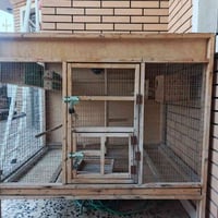 قفص خشب • ١٣٠×١٠٠×١٣٠ • بغداد سبع البور