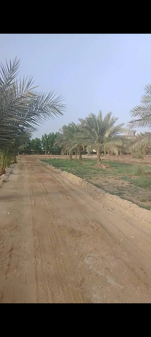 قطعة أرض للبيع
المساحة 1440 متر
الواجهة 18 متر 
النزال 80 متر 
الموقع. شارع المعمل فرع اسواق ريحانة 
مزرعة سيد حميد العذاري 
تبعد عن الشارع 150 متر 
السعر . 40 وقابل للتفاوض 
هاتف. ***********
