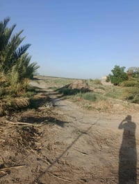 طريق لحلو • دونم • واجهة ٢٠م