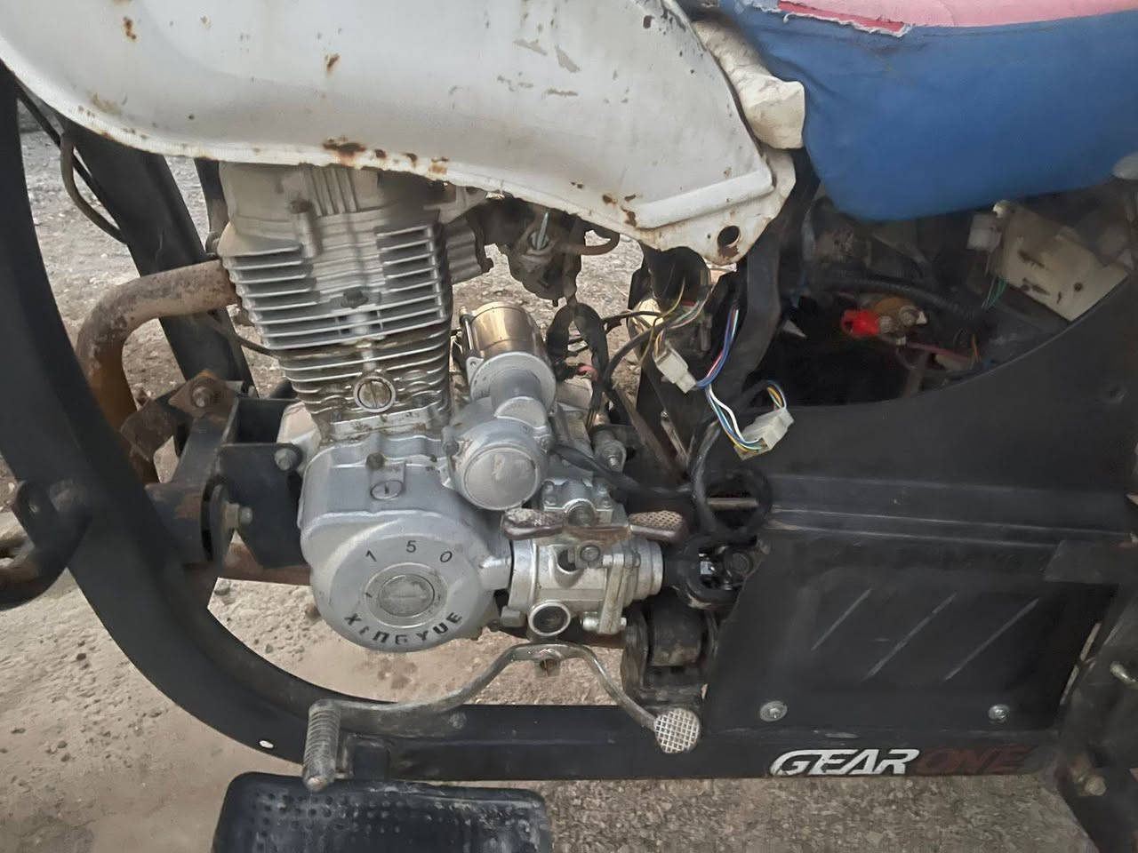 السلام عليكم اخوان ستوتة البيع ام الطير موديل 2016 الاتصال على هذة الرقم *********** المكان بعقوبة
