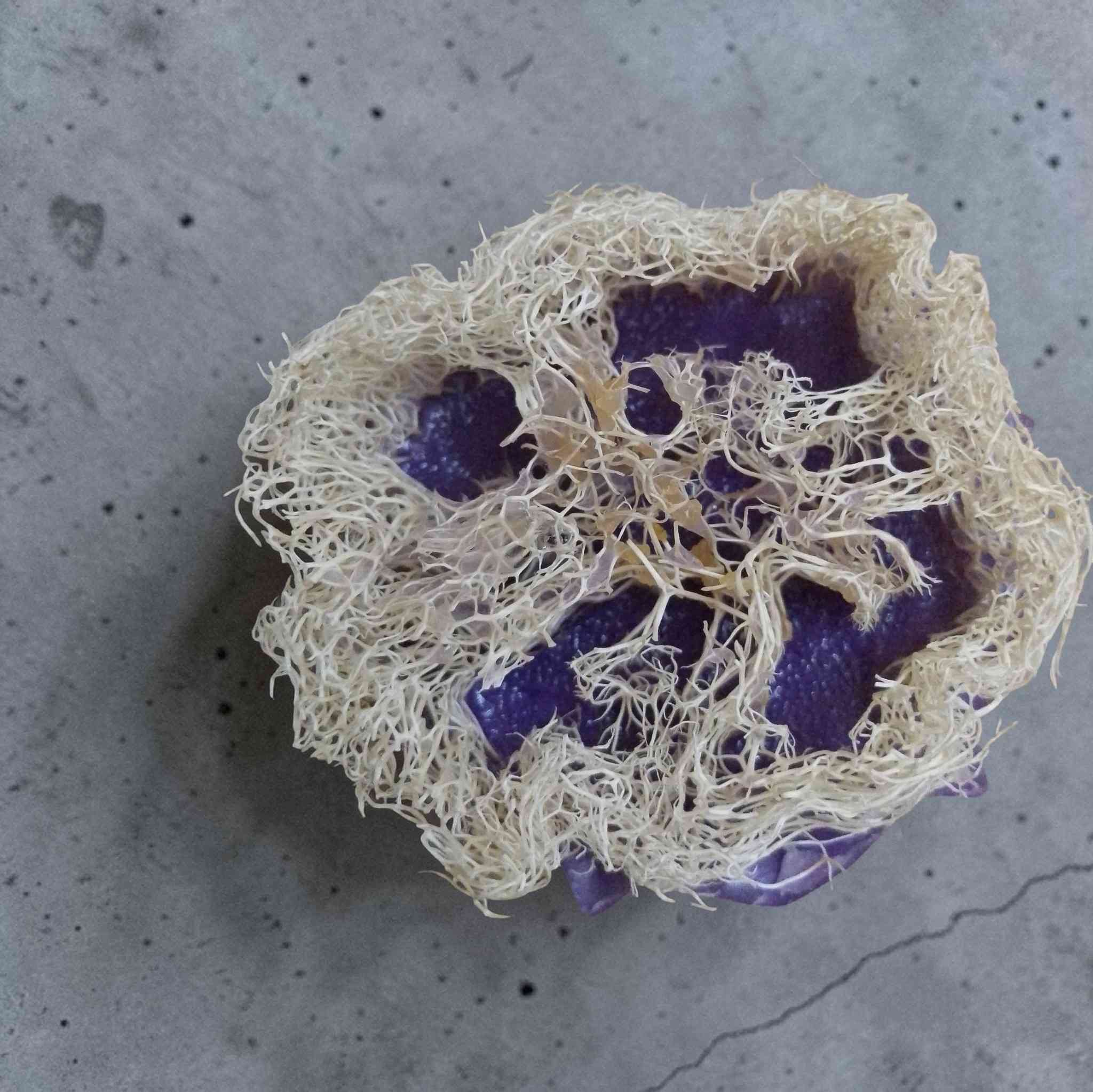 البنات للبنات 

هذا مشروعي صناعة صابون طبيعي بالزيوت والأعشاب وخلطات الشعر والبشرة والجسم ✨ 

رفعو حسابي علشان افتح لايف اعرض كل منتجاتي من صابون طبيعي وسيروم وكريمات وشامبو بنات


**إذا كنت صاحب هذا الإعلان وتريد حذفه لأي سبب، رجاءا أرسل رسالة إلى الدعم الفني**