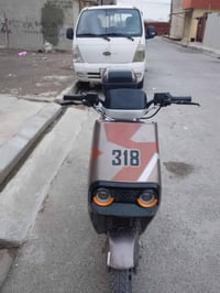 ٣١٨ • ٦ بطاريات • سرعة ٨٥