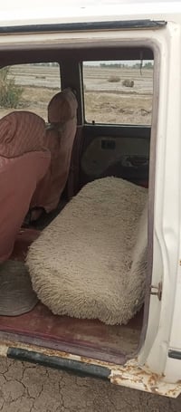 شغالة • ٢٠٠٦ • السماوة الوركاء