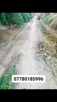 للبيع دونم في منطقه الجعارة يبعد عن السده 500 متر وجه الدونم 20 متر مش...