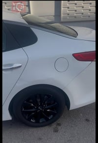 اوبتيما امريكي • ٢٠١٦ • خالية من الصبغ