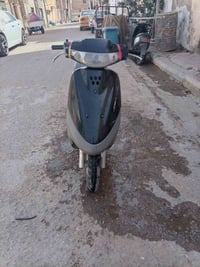 منغولي • فحل • باتري