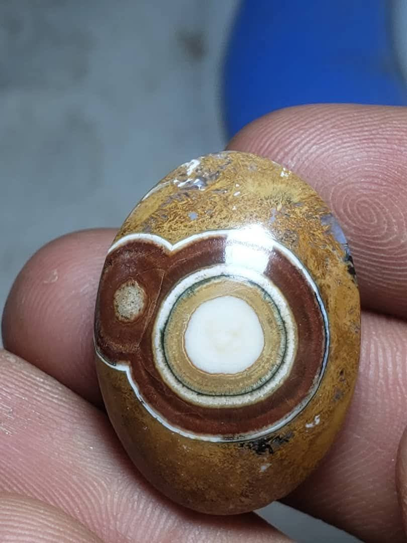 السلام عليكم نوادر داوودي جملة ومفرد ابيع ويوجد توصيل لجميع المحافظات


**إذا كنت صاحب هذا الإعلان وتريد حذفه لأي سبب، رجاءا أرسل رسالة إلى الدعم الفني**