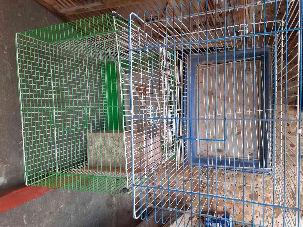 اقفاص للبيع كلهن ب ٥٠


**إذا كنت صاحب هذا الإعلان وتريد حذفه لأي سبب، رجاءا أرسل رسالة إلى الدعم الفني**