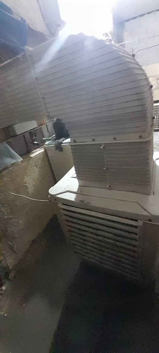 مبرده للبيع السعر ٢١٠ الف مكاني مدينه الصدر
راسلوني عل ماسنجر
 او عل واتساب 
+9647841092008
