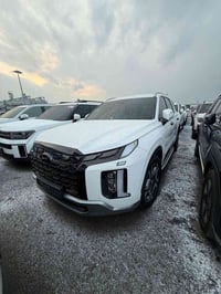 بليسايد • ٢٠٢٤ • ٧ راكب