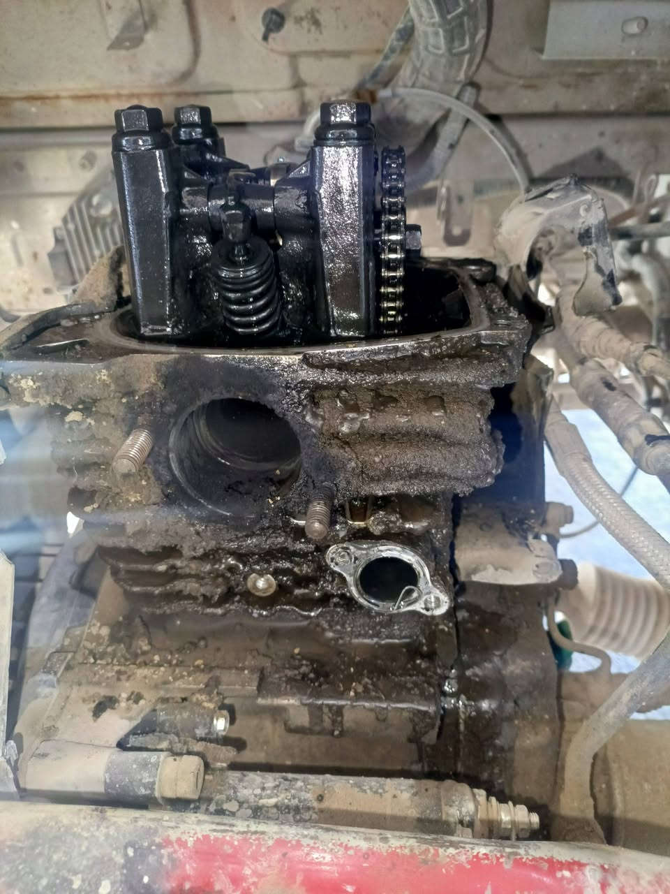 باقرالغريب لصيانه التكتك البجاج
اسعار العمل (شغل ادينه)

تبديل اكلجات مع الغسل 15

تجفيت بوشه وبستم مع الغسل 35

تجفيت روله شرگ مكينه مع الغسل والتنضيف 75

تبديل زنجيل مع التفيلس كافه المديلات 25 ماعدا مديل 20ب20الف

تجفيت اكسل مع الغسل والتنضيف 25

تبديل بنزات ابريك مع الغسل 3

تبديل عنبار تاير مع الغسل 5

تبديل عنبار رائيسي 5

شد جواريب صفحه وحده مع الغسل 5

شد واير اكلج مع ترتيب دهن 3

شد وايرات كير مع ترتيب دهن 6

تنضيف كابريتر 5

شد كابريتر 3

✅العمل المجاني 

تقسيم واير اكلج 

ضب الركبه 

تنفيس ابريك 

شد ابلكات

فحص العطل وتشخيصه بدون فتح وشد

ملاحظه ماشتغل تجاري شغلي غراض اصليه وكاله فقط ولا اشتغل للبياع شره مع احترامي وتقديري الهم
