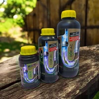 بانيقيا • تيزاب فاتح للمجاري • شارع المدينة