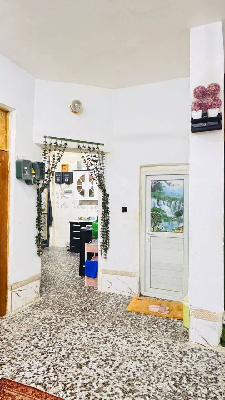 الدار للبيع 120 متر طابق ونصف
بناء درجة اولى اساس وسقف كونكريت 
افضل المواد مستعمله لبناء البيت
عالي عن الشارع طابو زراعي سند 25
العنوان
كوفه سهله خلف مجمع شبيلي مسافه قليله عن تبليط المجمع
السعر 52 مليون وبي مجال
الاستفسار *********** واتساب 

مستعدون لأستقبال عروضكم التجارية والزراعية والسكنية
