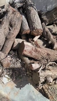 حطب • لشوايات • ٩٠٠ كيلو