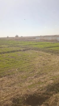 أرض زراعية • طابو صرف