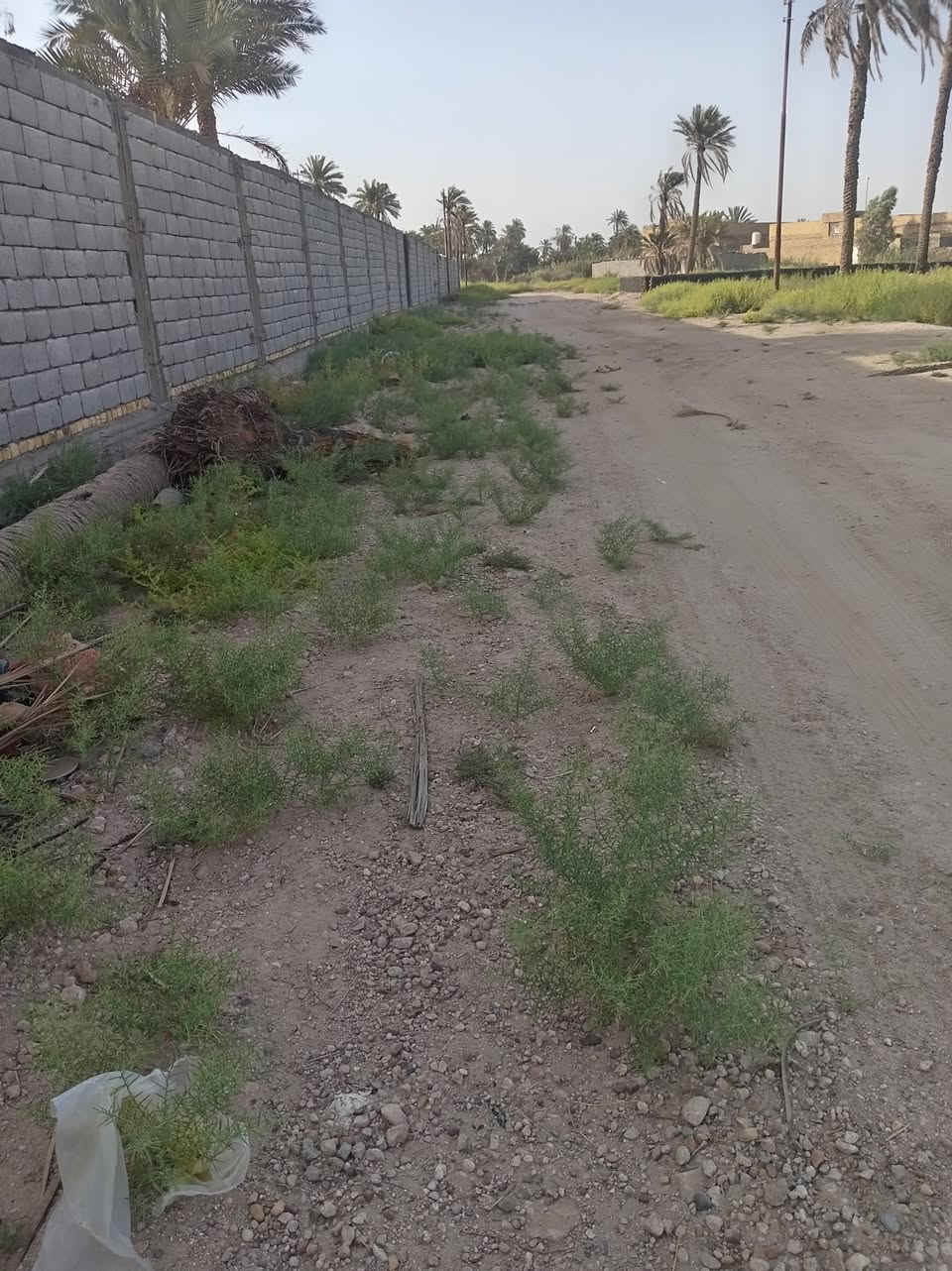 السلام عليكم نص دونم طابو اسهم تحويل المساحه ١١٥٠ على ٣شوارع ركن بستان ومتوفرماء كهرباء وبوري ماي باب البستان على طريق السفينه خلف ثانويت الواثق
***********
