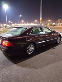 شاهينه • ٢٠٠٥ • بصره