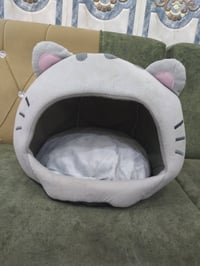 اغراض قطط مستعملة • ثوب كرسمس • حي الجوادين