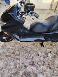 فورزا ٢٠٠٩ • بدون أوراق • بابل