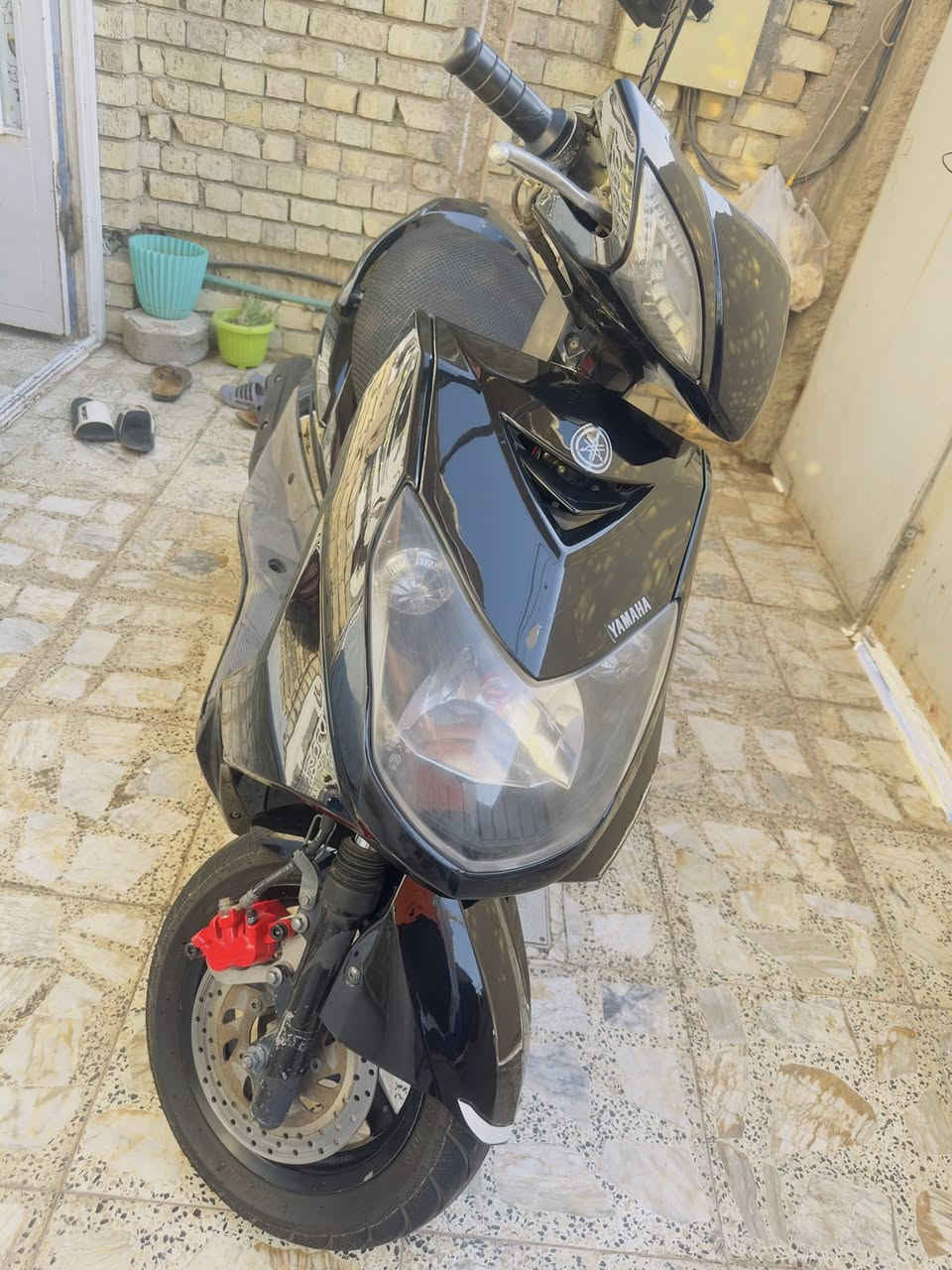 سكنس فحل نوزل خطين قبق مسح نضيفه كلش مكفوله من كلشي مبدل بيها بس زنجيل فقط الباقي مكفول 
منضومه زنون عالي ناصي رماش اشاير لدات هورن سلف نص نكره 
مابيها كل نقص مكاني بغداد الدوره السعر 650 وبيها مجال كلش بسيط ***********
