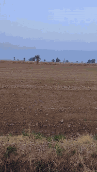 رباغات • ٢٥٠٠م