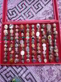 طبله محابس فضه • مدينة الصدر • بغداد