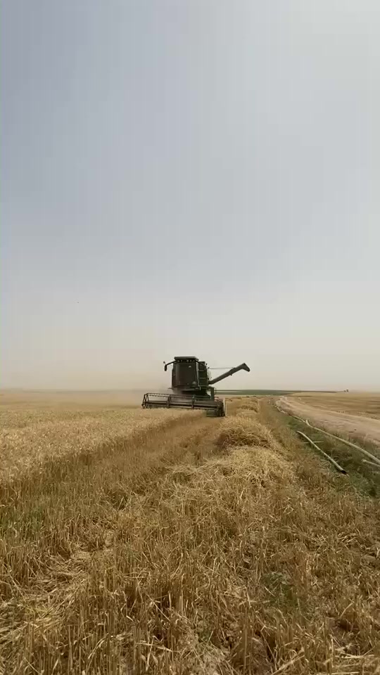 ئەم دەراسەیە بۆفرۆشتن بەشەرتە جامخانەیە تەبریتە رەقەمە سەنەویە مەچینەبەشەرت ناونیشان هەولێر ژ ***********
