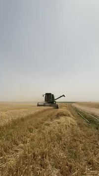 للبيع • أربيل • بشروط