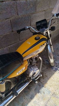 سكنس • ٢٠٢٤ • اورق