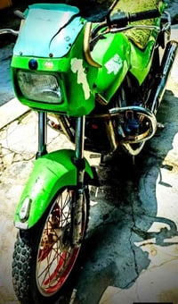 جاوا للبيع 350الف او مراوس بدراجه  جونده(جني) الاتصال 07741136143