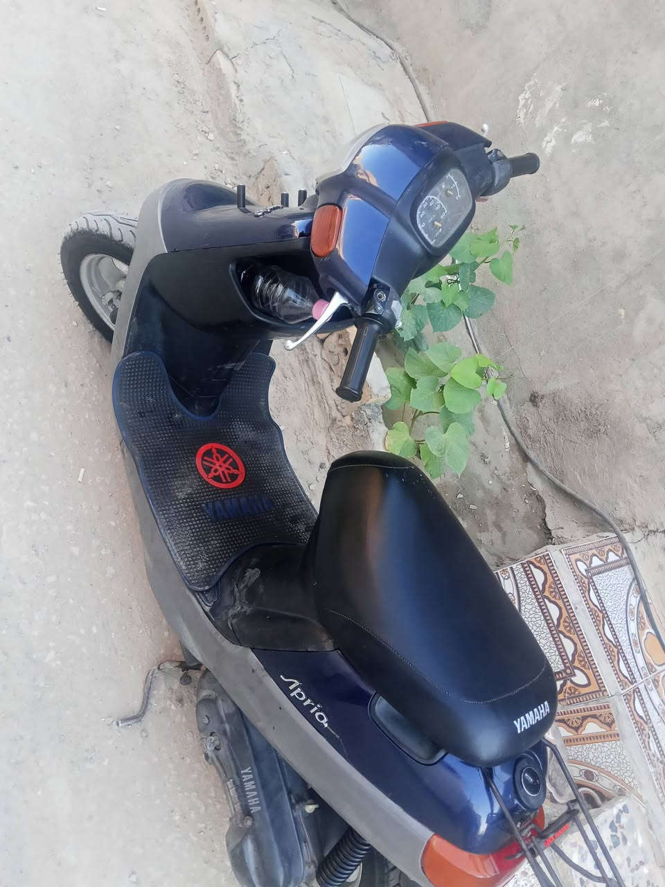 دراجه بطه للبيع كفاله مكان كربلاء سعر 750


**إذا كنت صاحب هذا الإعلان وتريد حذفه لأي سبب، رجاءا أرسل رسالة إلى الدعم الفني**
